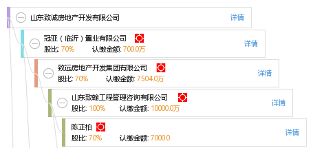 山东致诚房地产开发
