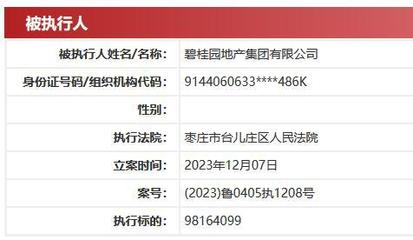 碧桂园地产集团被执行超9816万