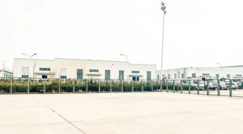 am车镜实地探访众泰临沂工厂,被长城收购后什么样